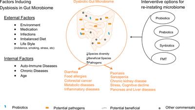 Editorial: The roles of pathogens in gut-related diseases and the strategies for inhibiting their growth